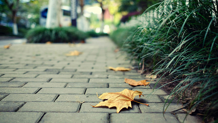 Paving